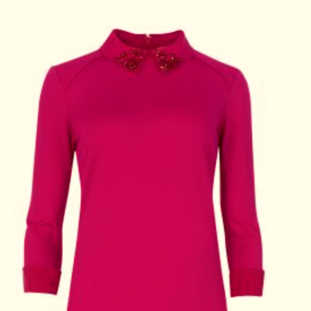 Ted Baker Dress with embellished collar (pink)